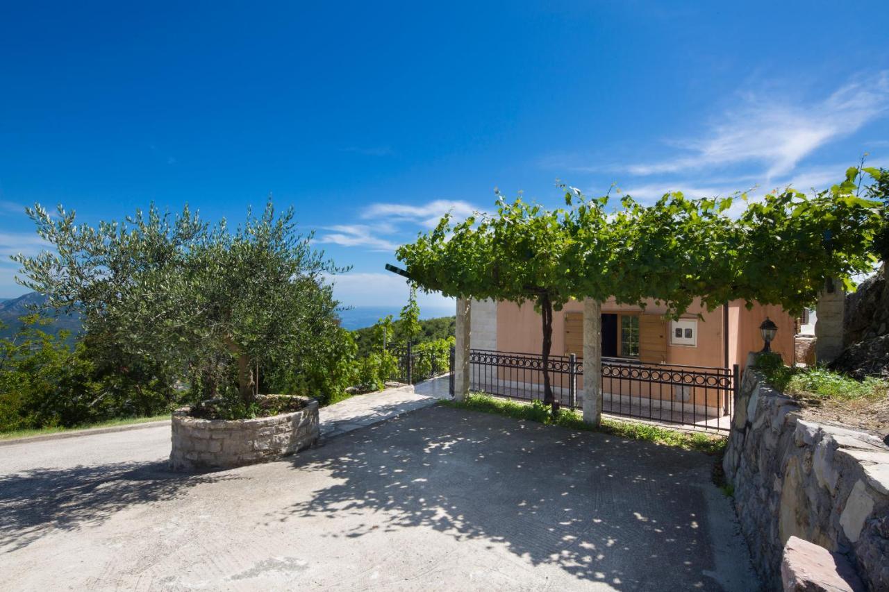 Villa Robinson Petrovac エクステリア 写真