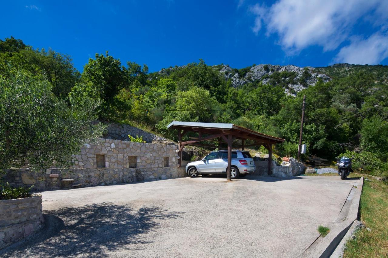 Villa Robinson Petrovac エクステリア 写真